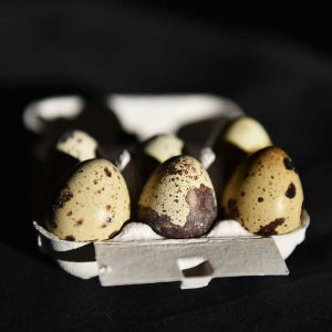 Wachteleier, quail-eggs